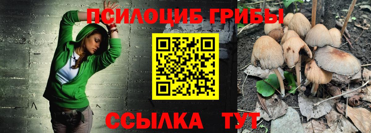 Галлюциногенные грибы прущие грибы Лениногорск