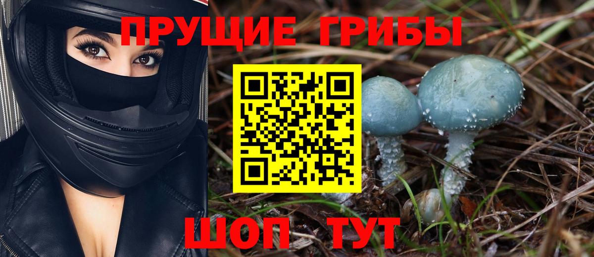 Лениногорск  Галлюциногенные грибы мухоморы  Вход с VPN 
